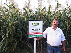 PK-003 - Állattartóknak! Organikus kukorica előrendelési AKCIÓ! SZEMES/SILÓ HASZNOSÍTÁSRA